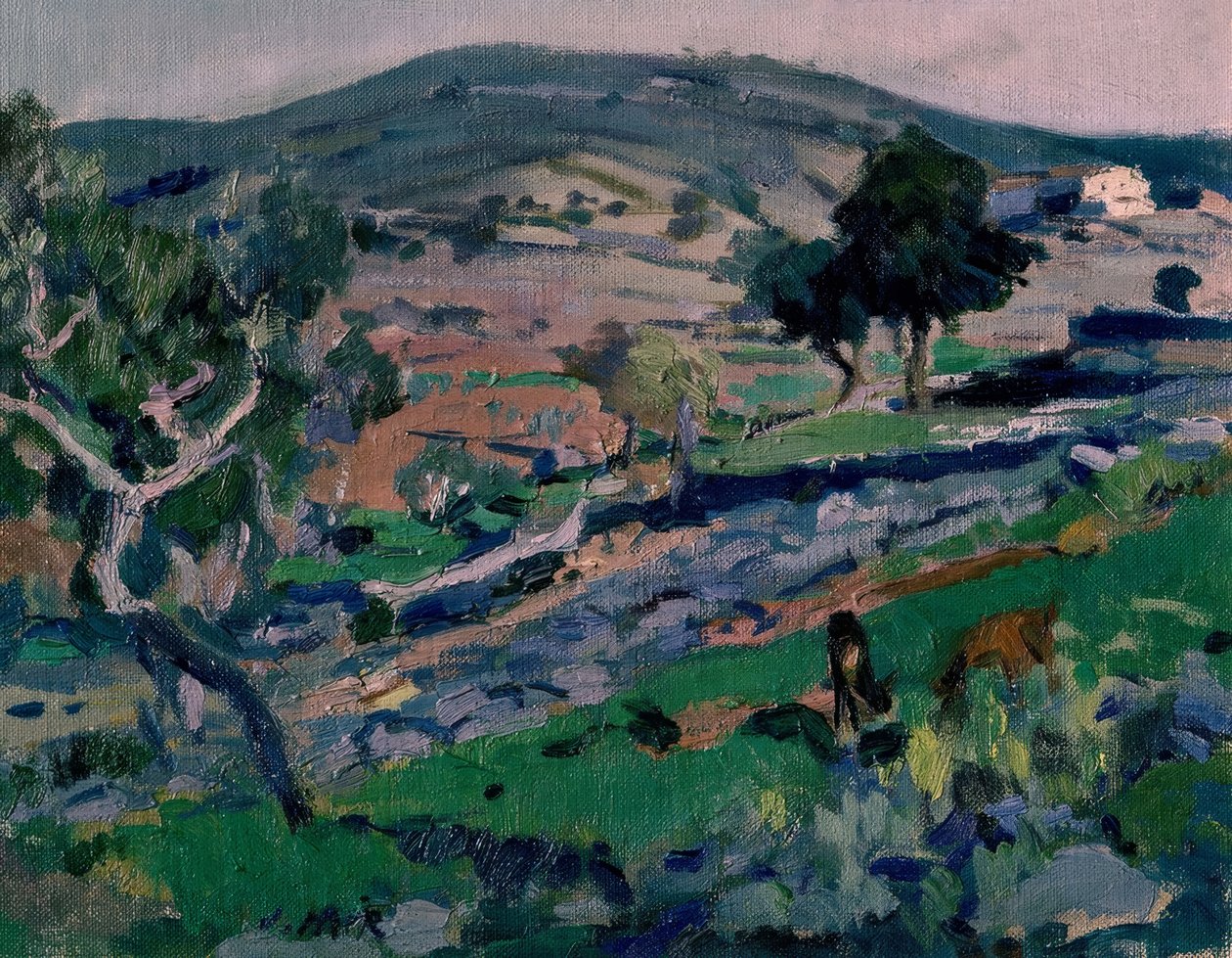Landscape by Joaquim Mir i Trinxet
