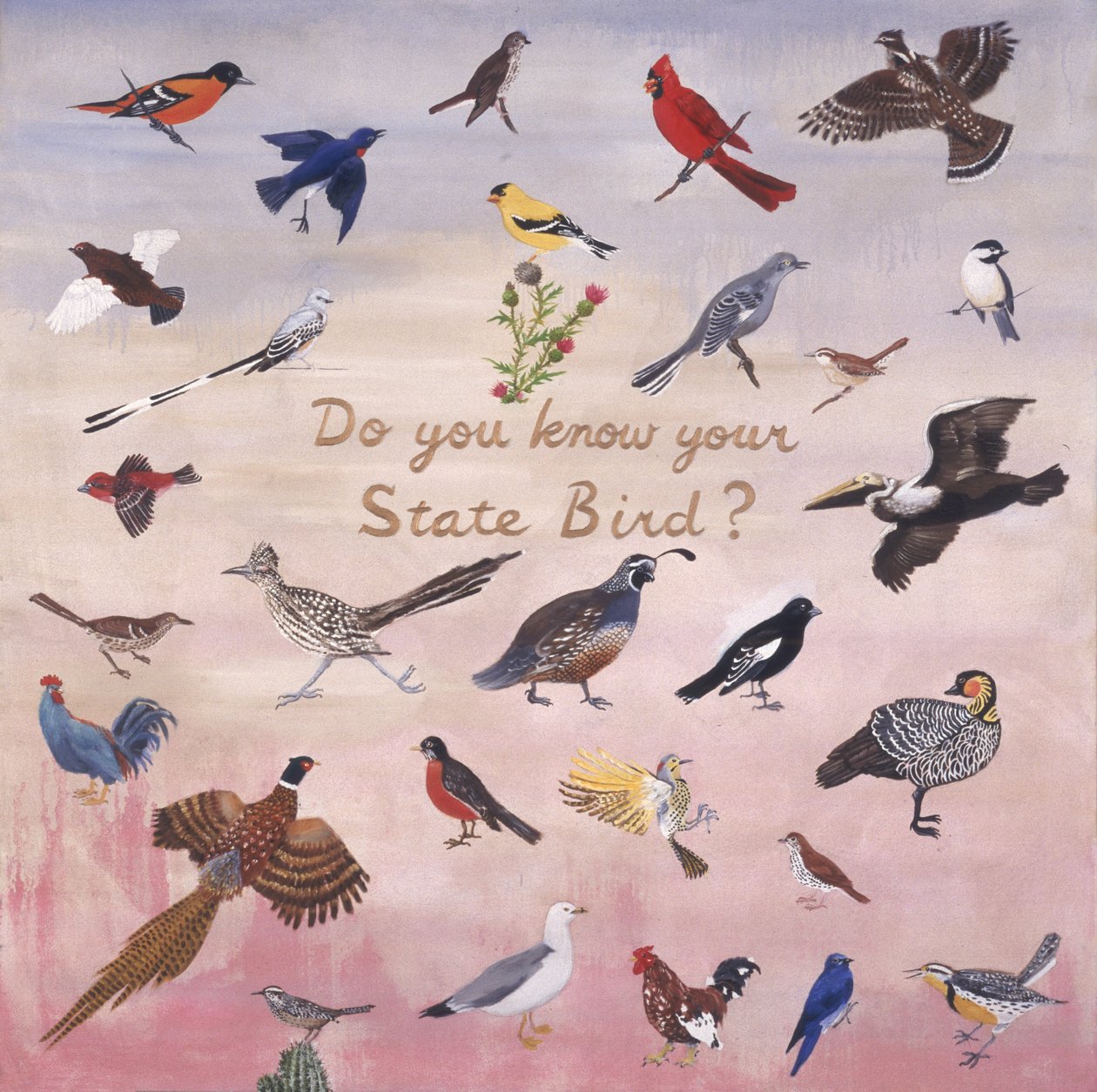 Do You Know Your State Bird? by Joe Heaps Nelson