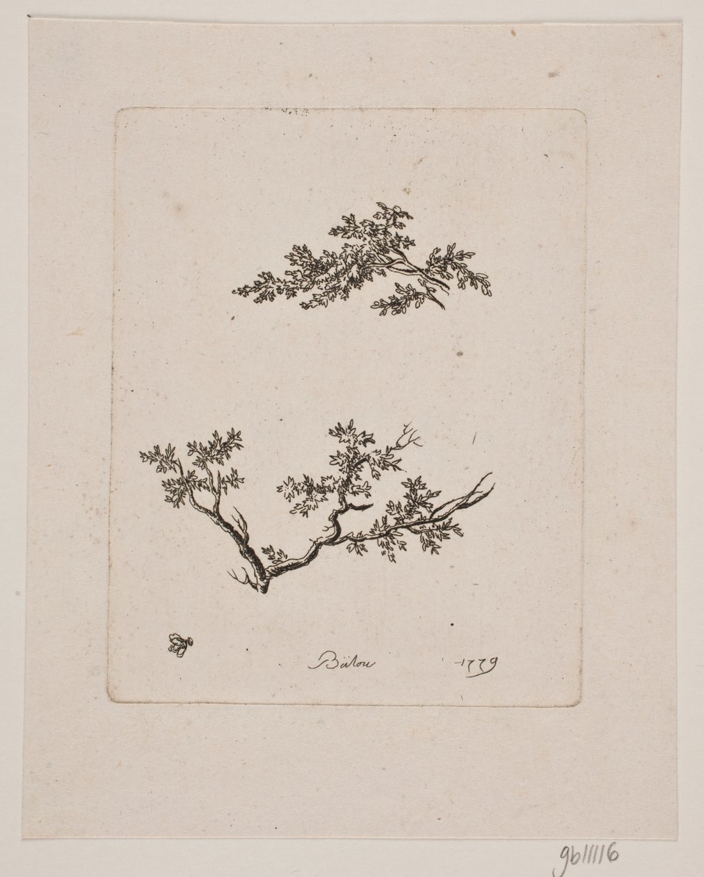 Two Tree Branches by Johan Bülow