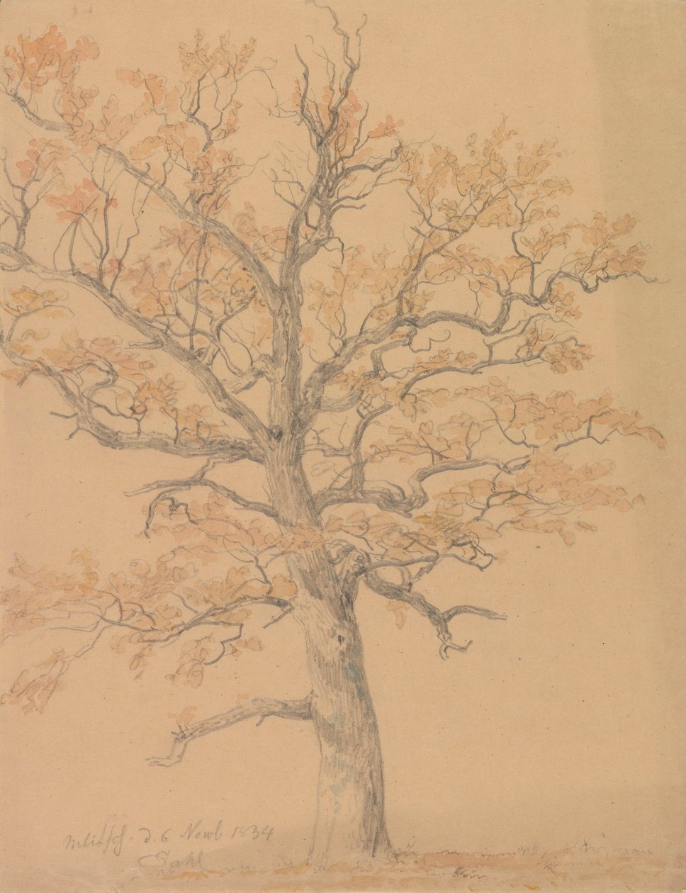 Oak Tree with Autumn Leaves, Milicz by Johan Christian Dahl