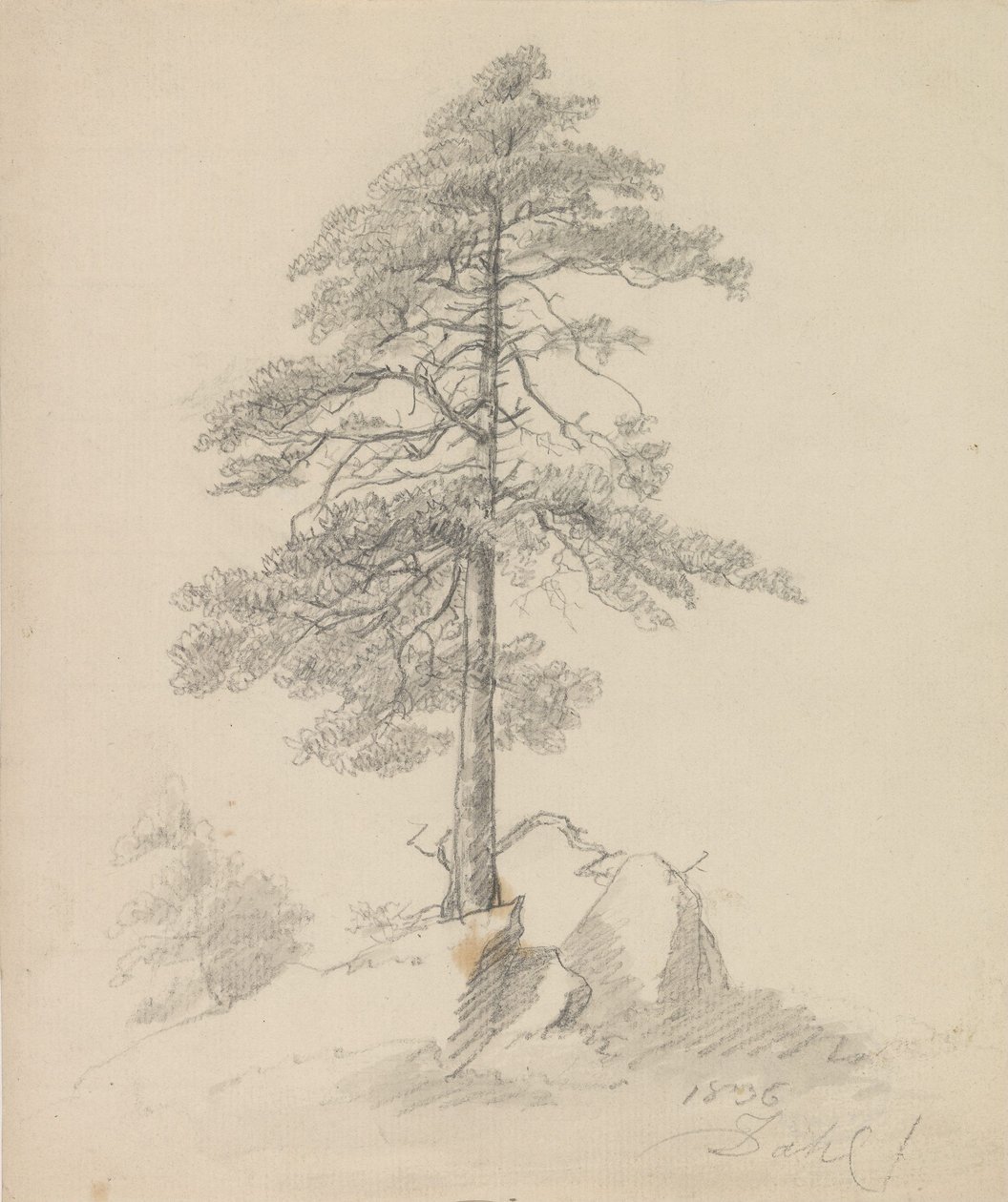 Pines and Cliffs by Johan Christian Dahl