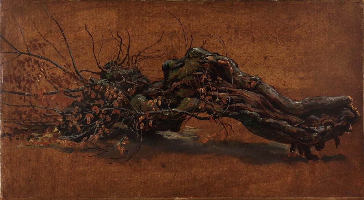 Study of a Gnarled Branch by Johan Christian Dahl