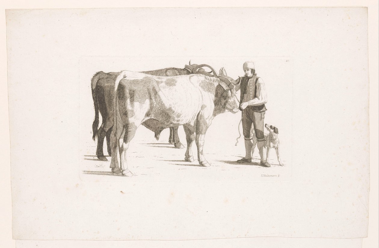 Man and a Dog Next to Two Oxen with a Yoke by Johan Jakob Biedermann