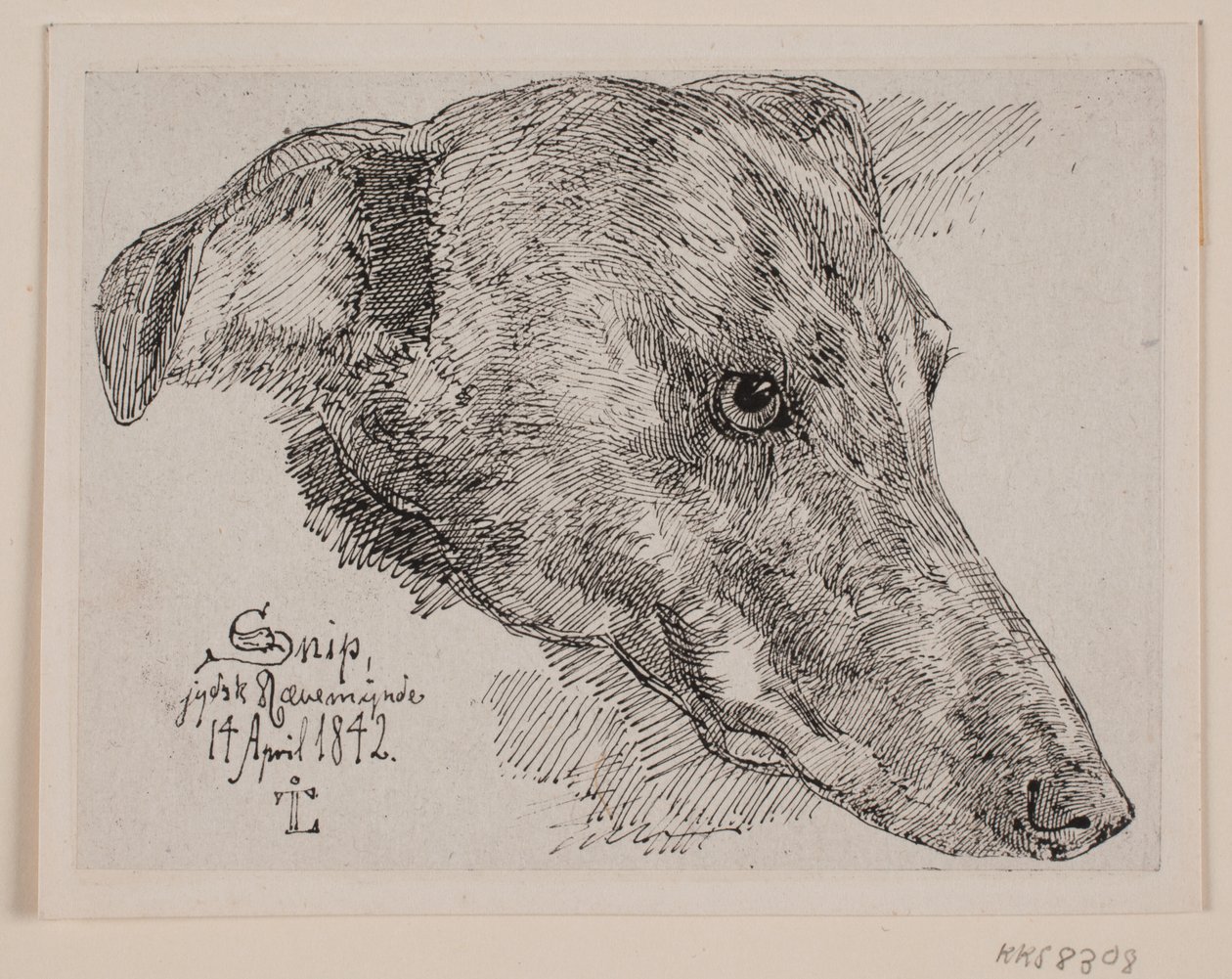 Dog Head, Snip by Johan Lundbye