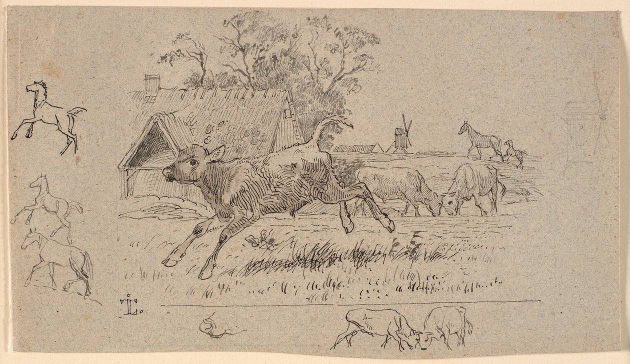 The Herd. Illustration for Kaalund