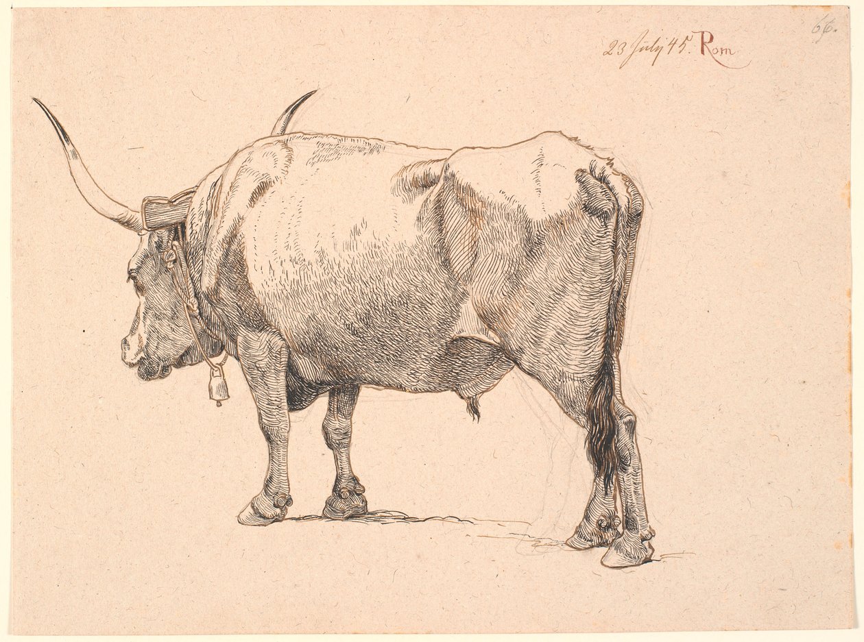 Roman bull with bell around neck, seen from behind by Johan Thomas Lundbye