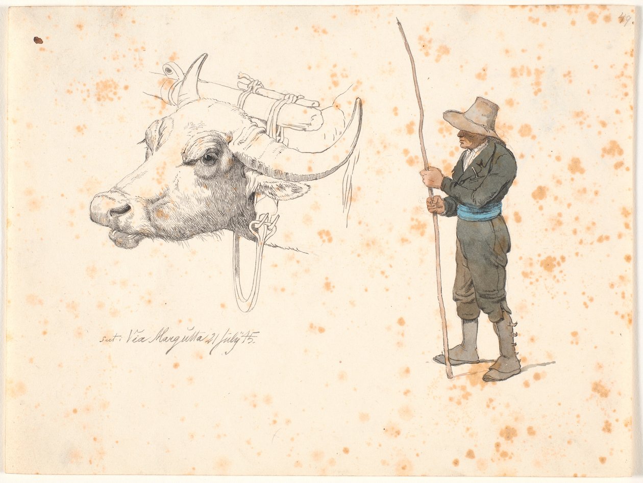 Study of the Head of an Ox and a Standing Field Mouse by Johan Thomas Lundbye