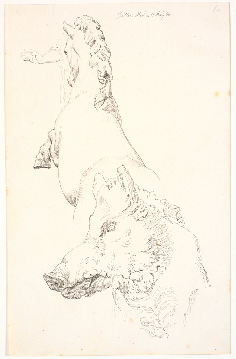 Study after Antique Sculptures: Boar