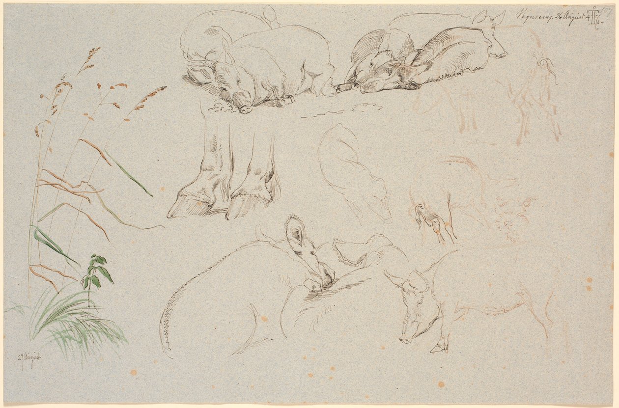 Study Sheet from Vognserup. Various Studies of Pigs. A Study of a Pair of Horse Hooves. A Study of a Dog