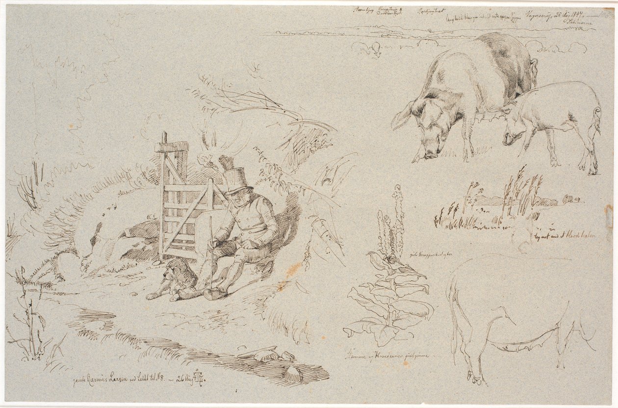 Study Sheet from Vognserup. Left: a shepherd (old Rasmus Larsen) sitting with a dog by a gate. Front: a landscape study with place names. Below: two pigs. Right: study of reeds in a lake. Below: a mullein plant and study of a sow by Johan Thomas Lundbye