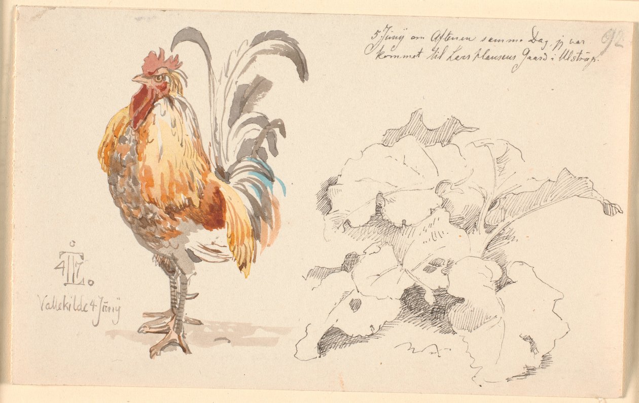 Study Sheet with a Rooster and a Dock Leaf by Johan Thomas Lundbye