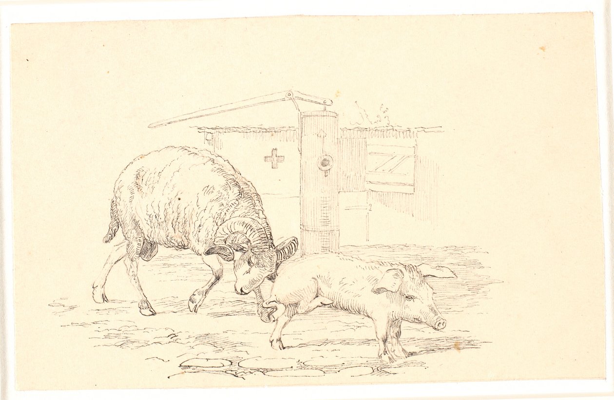The Ram and the Pig. Illustration for Kaalund