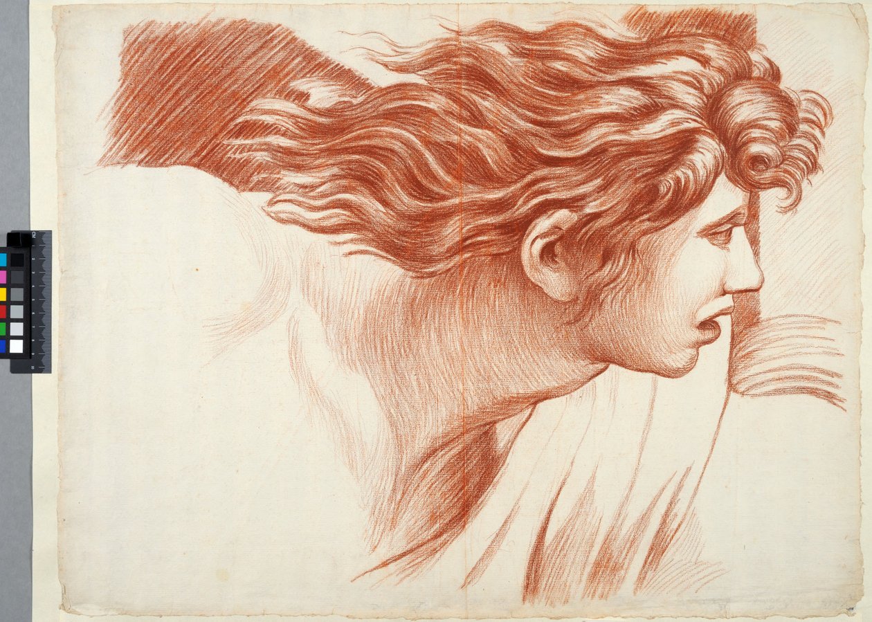 Academy Drawing (detail) from Raphael