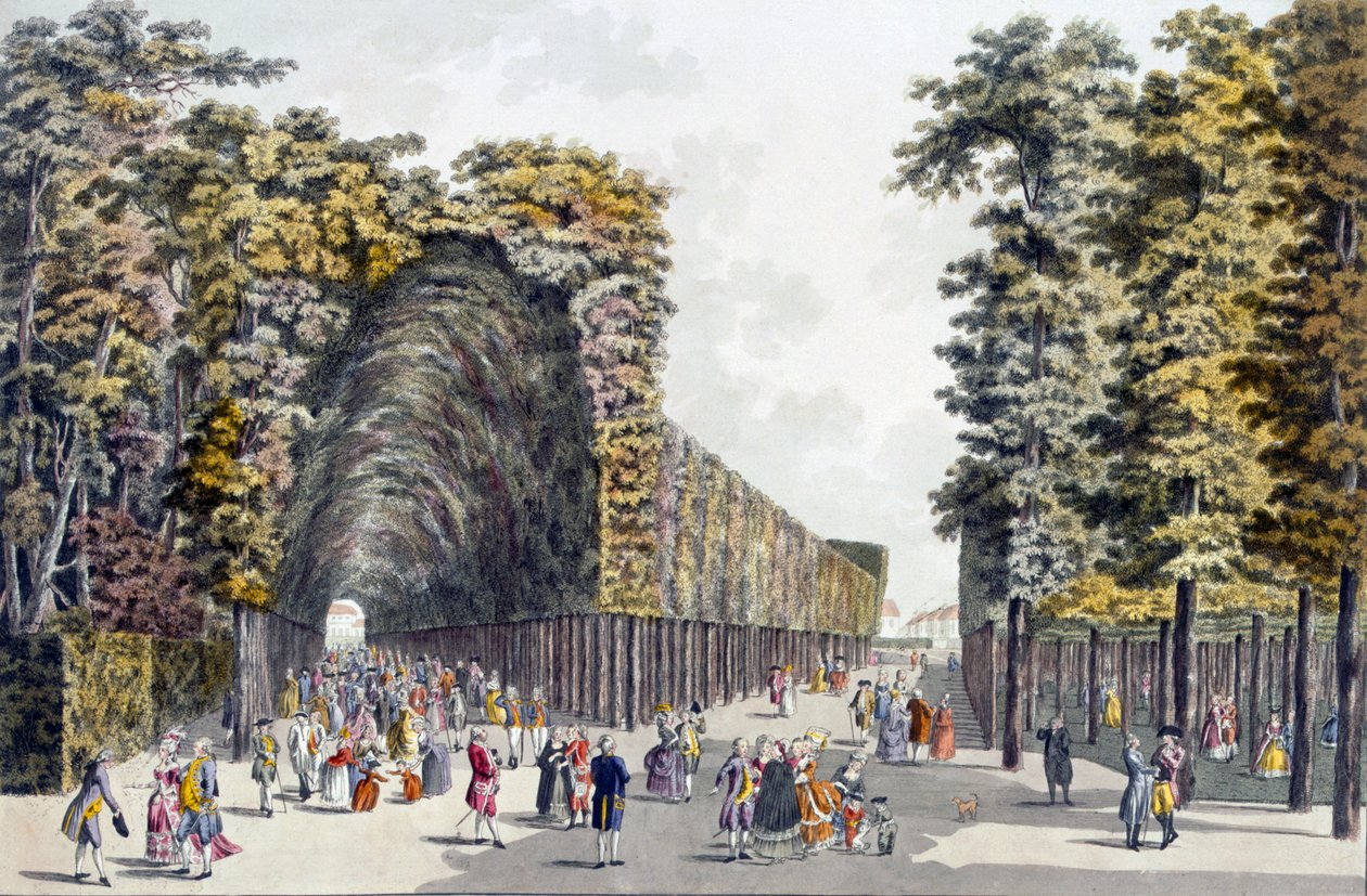 Limegrove Walk, Augarten, Vienna by Johann Ziegler