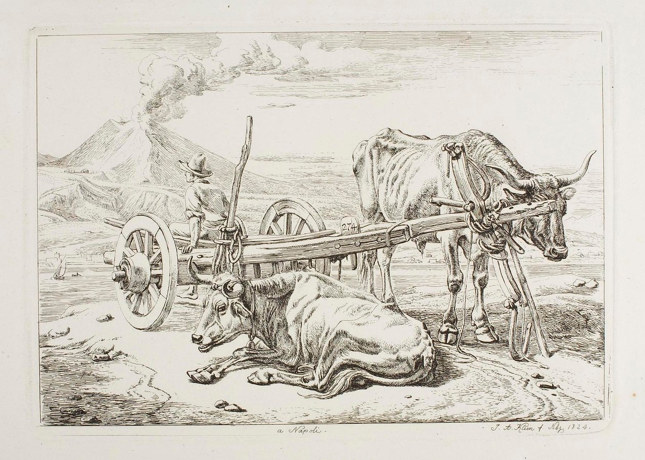 In Naples (Oxen and a Cart in Naples) by Johann Adam Klein