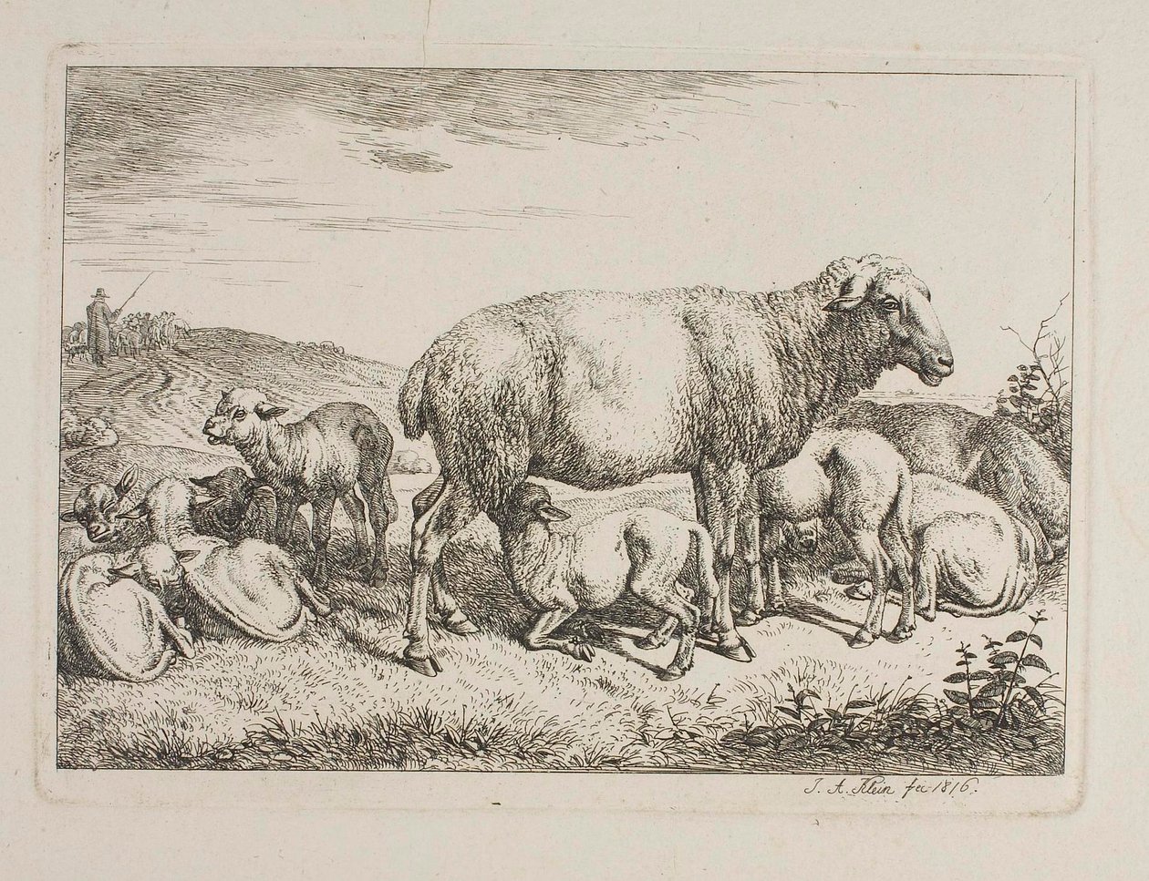 Sheep with Lambs by Johann Adam Klein