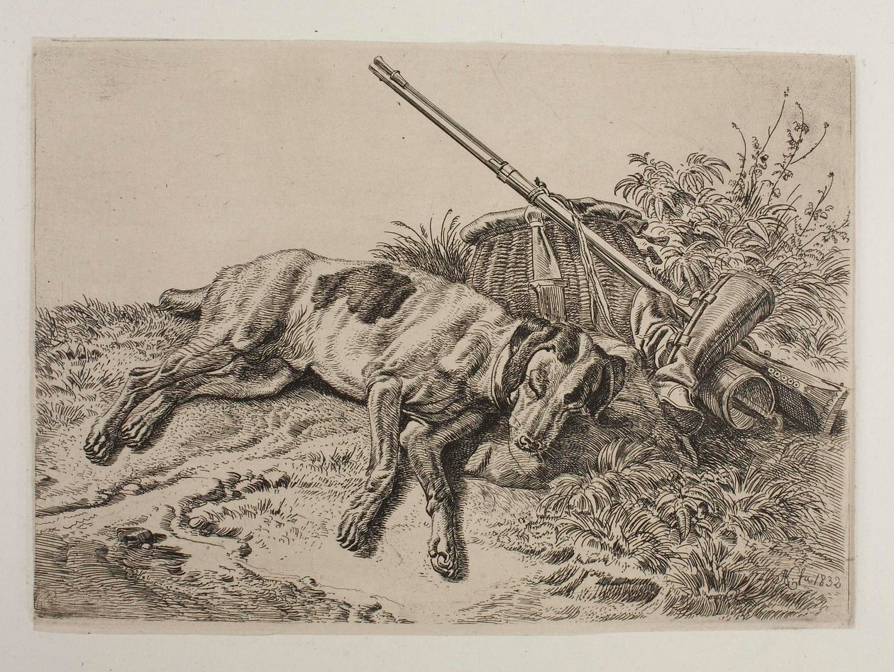 Sleeping Dog by Johann Adam Klein