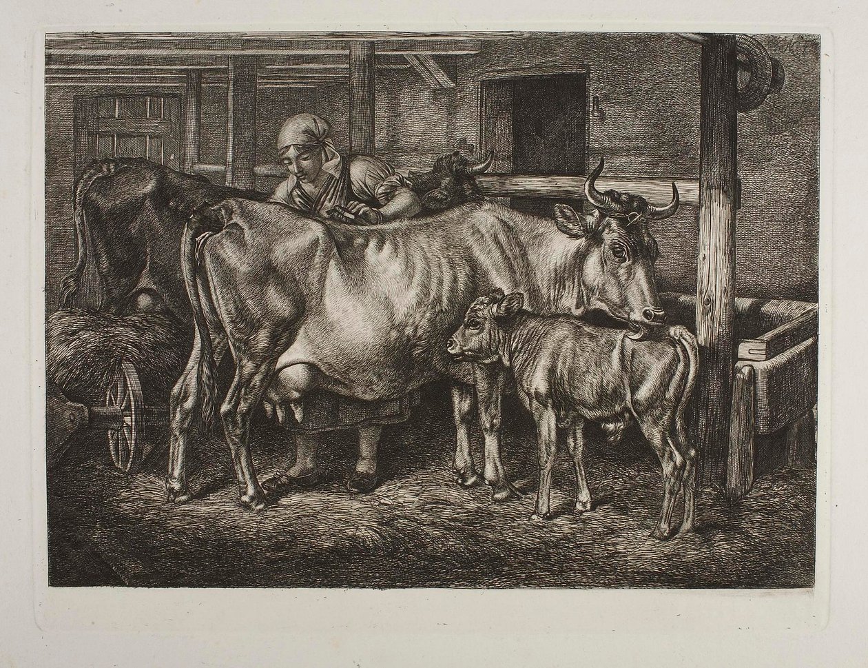 The Cows Being Groomed by Johann Adam Klein