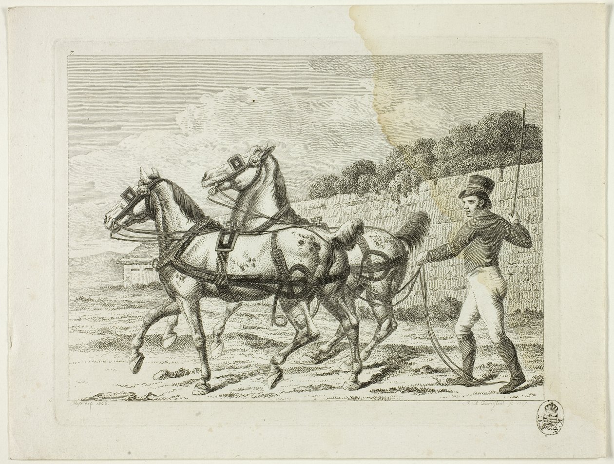 Riding School and Horses by Johann Adolph Darnstedt