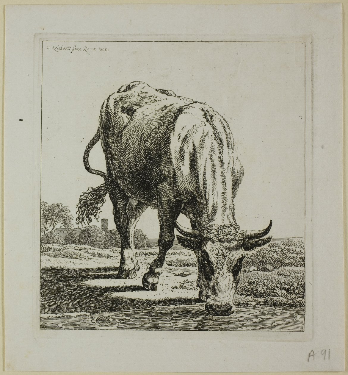 Cow Drinking, from Die Zweite Thierfolge by Johann Christian Reinhart