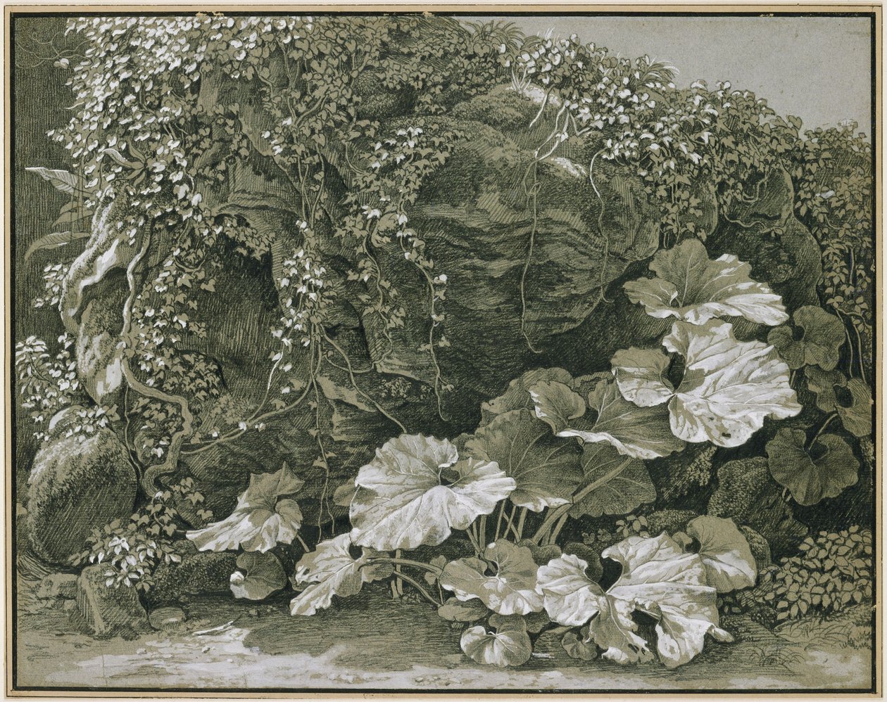 Large Leaf Plants in an Ivy-Covered Rock Grotto by Johann Christian Reinhart
