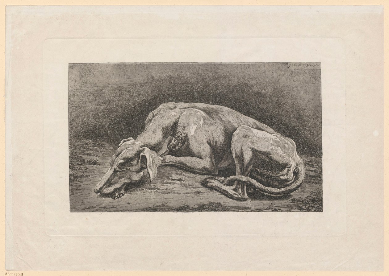 Sleeping Greyhound by Johann Christian Reinhart