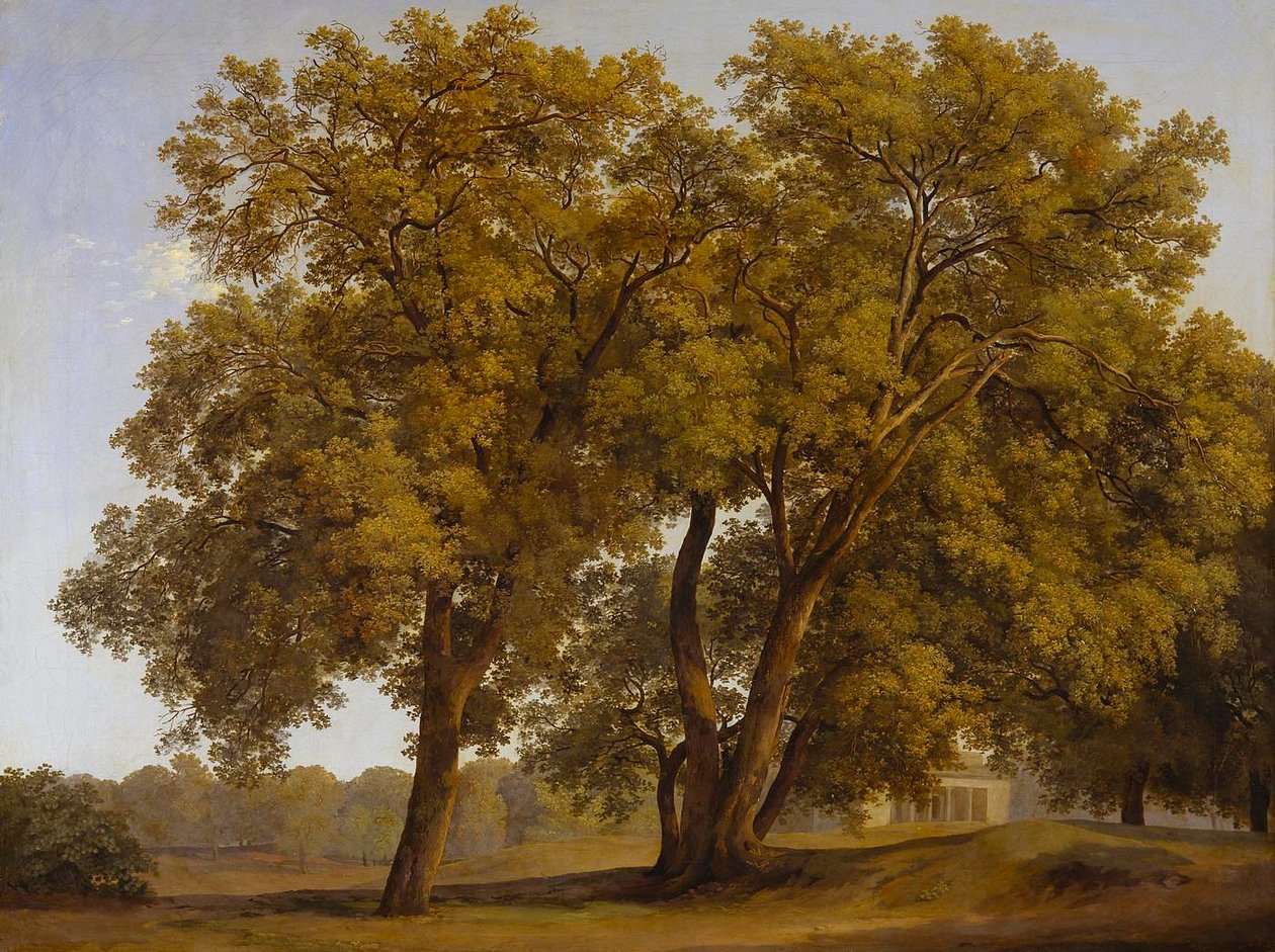 Trees in the Villa Borghese Gardens by Johann Christian Reinhart