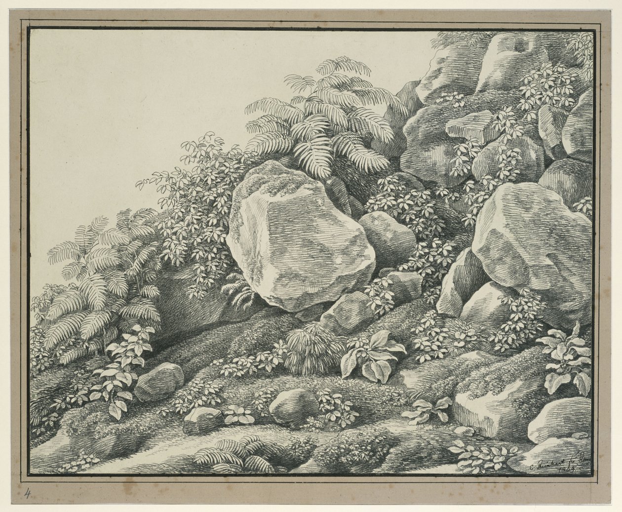 Foreground Study: Rocks, Bushes, Ferns and Foliage Plants by Johann Christian Reinhart