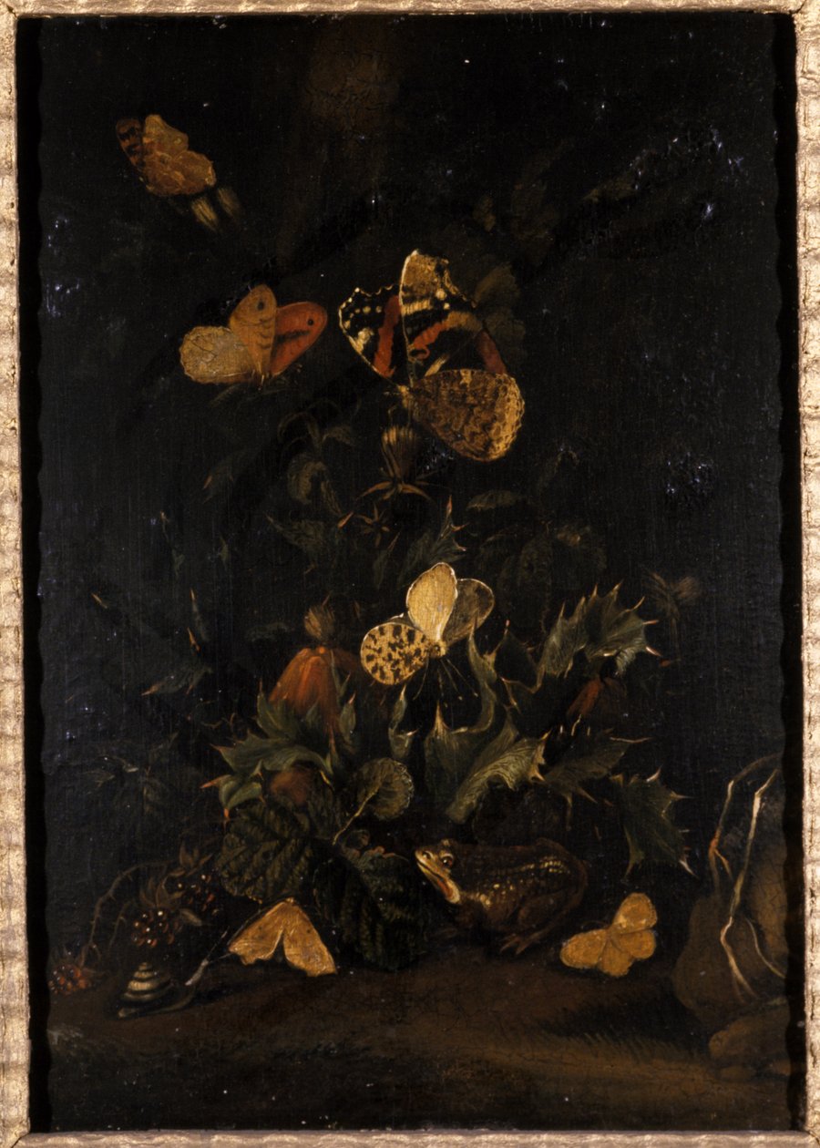 Flowers with Butterflies and Toad by Johann Christian Thomas Winck