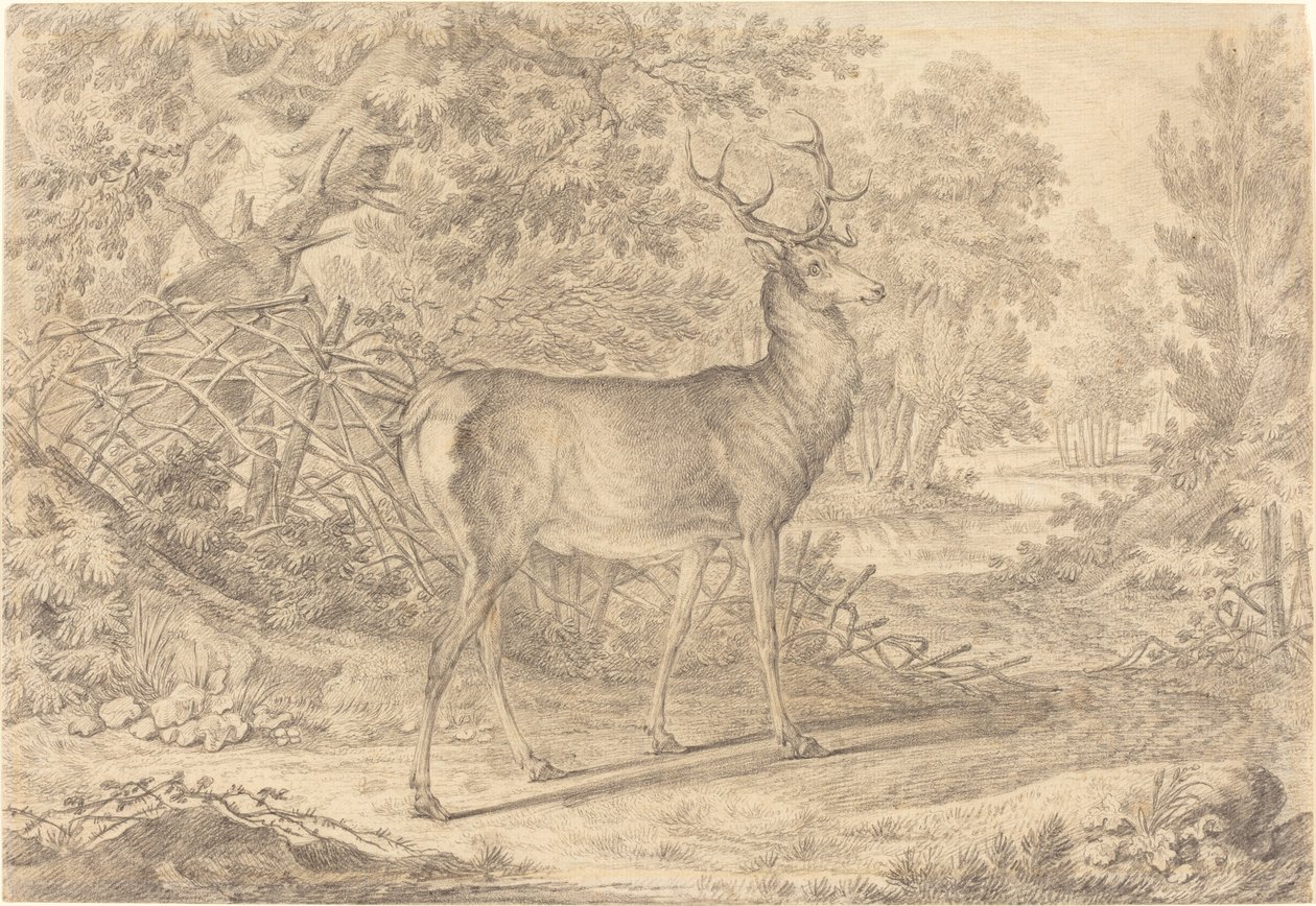 A Splendid Young Stag before a Wattle Fence by Johann Elias Ridinger