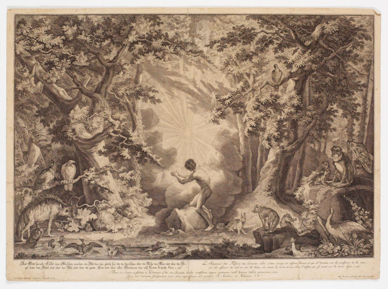 The Creation of Adam by Johann Elias Ridinger