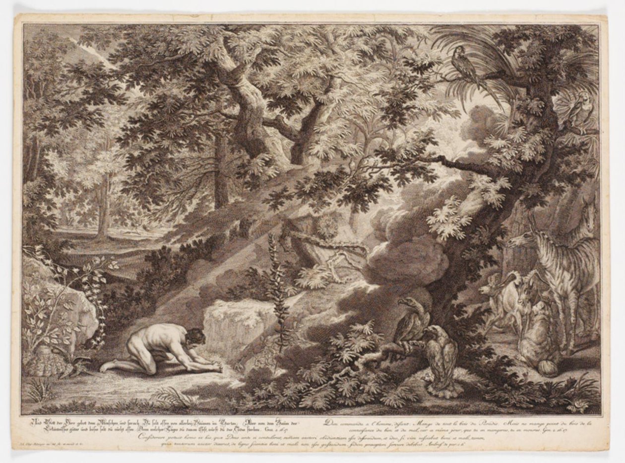God Forbids Adam to Eat from the Tree of Knowledge by Johann Elias Ridinger