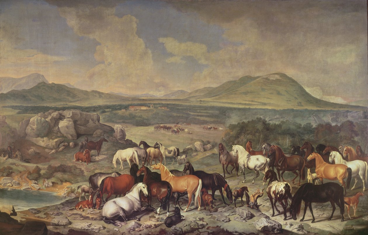 The Imperial Stud with Lipizzaner Horses by Johann Georg Hamilton