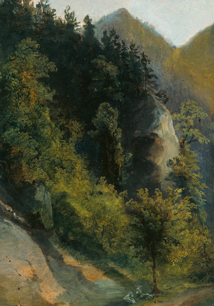 Wooded Rocky Valley with Goats by Johann Georg von Dillis