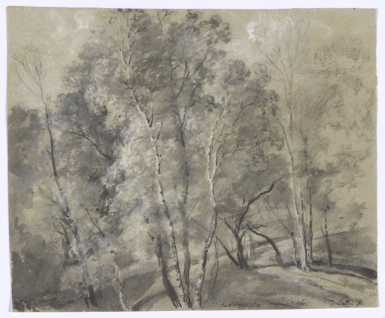 Deciduous Trees on the Slope by Johann Georg von Dillis