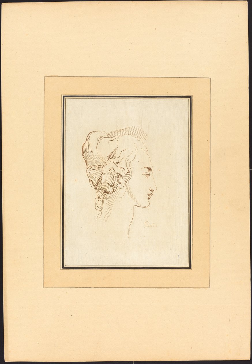 Head of a Woman by Johann Gottlieb Prestel after Guercino