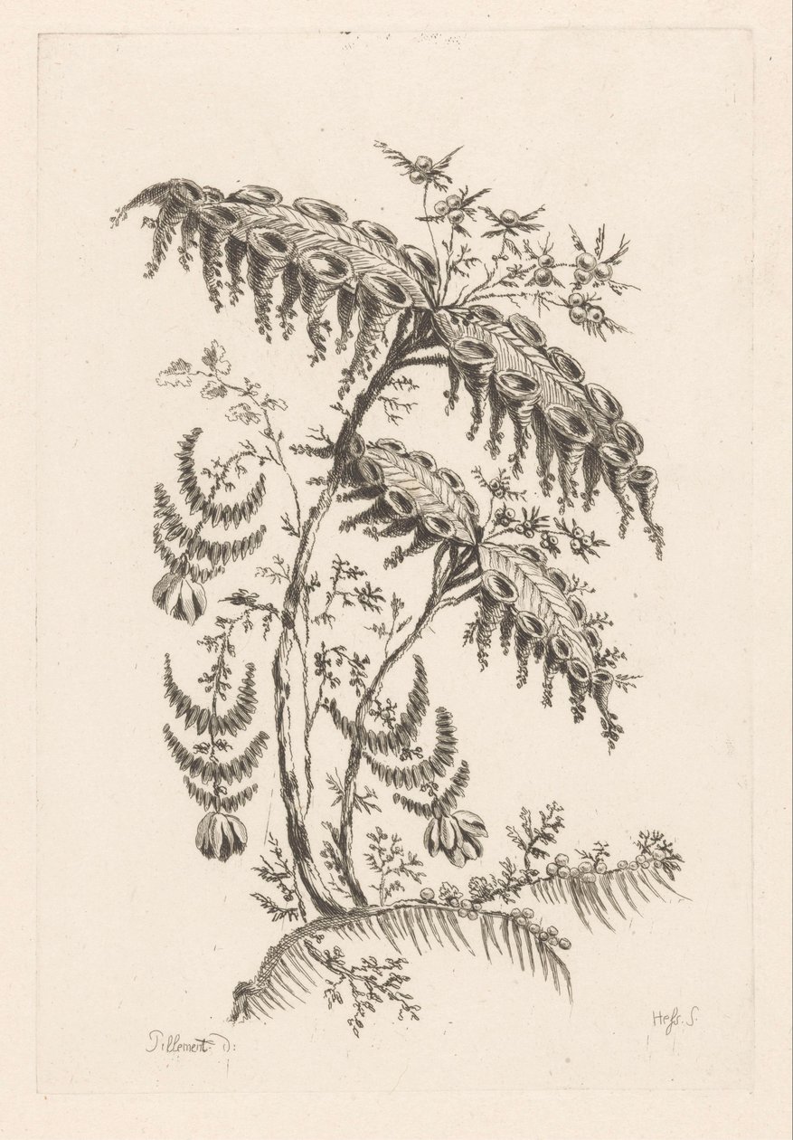 Leaves with Horn Shapes (Baroque Flowers) by Johann Heinrich  Hess