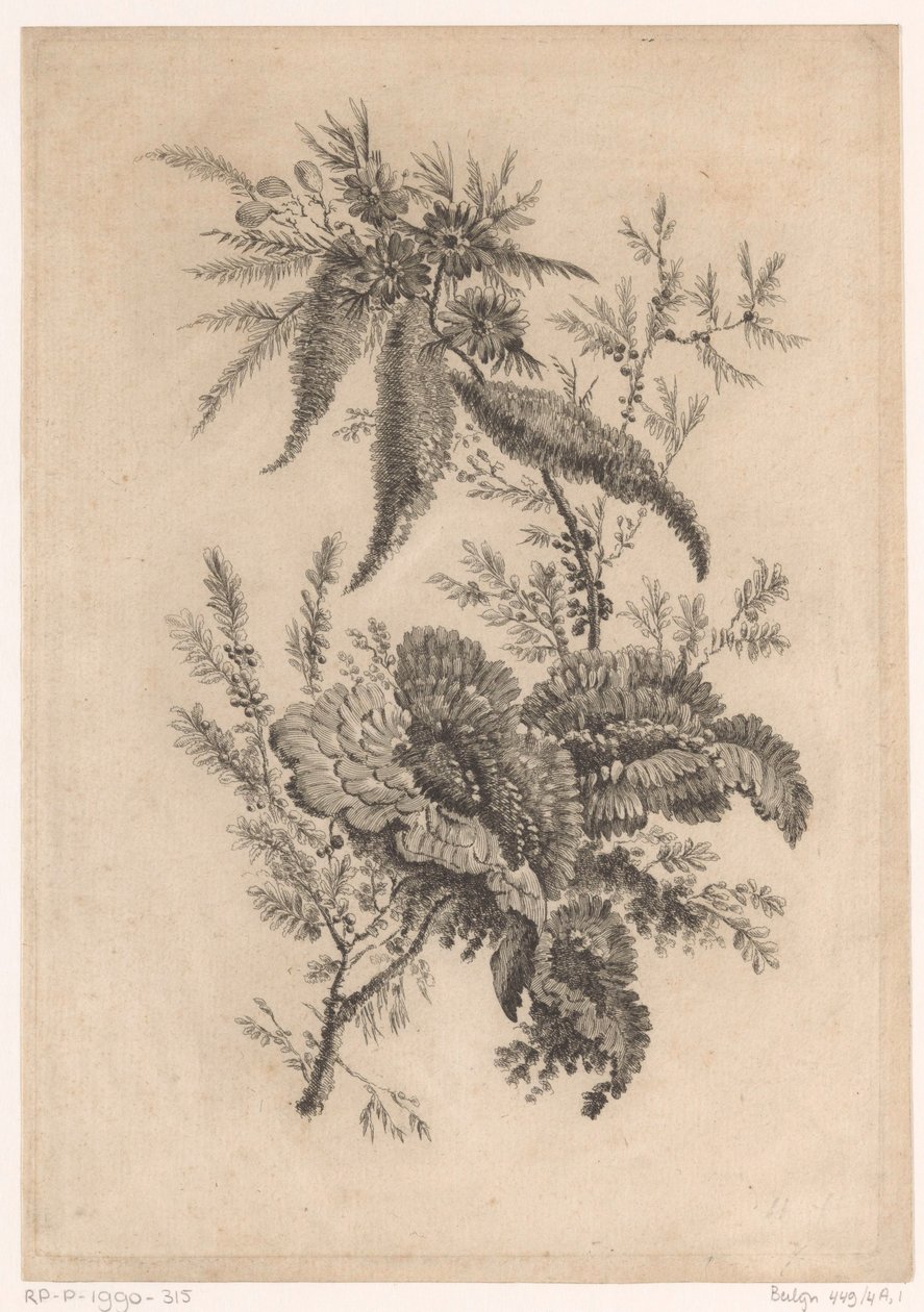Wild Roses from Recueil De Nouvelles Fleurs De Goût; Pour la Manufacture des Etoffes de Perse by Johann Heinrich  Hess