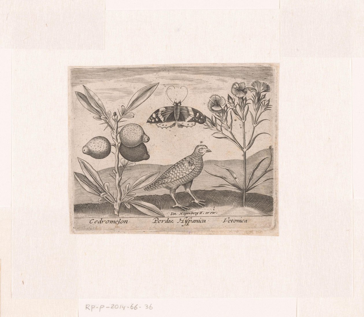 Series of Prints with Flowers and Animals in a Landscape by Johann Hogenberg