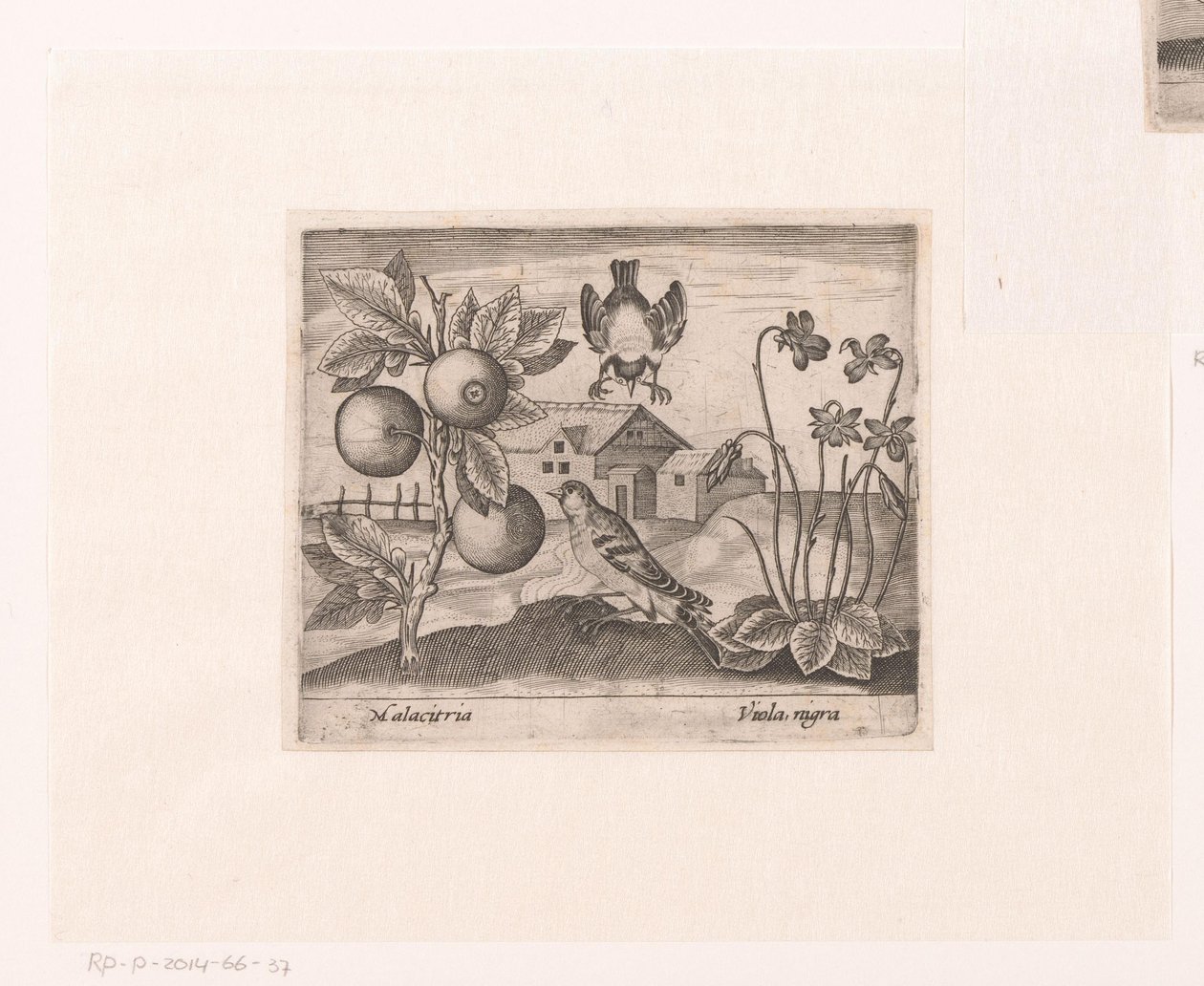 Series of Prints with Flowers and Animals in a Landscape by Johann Hogenberg