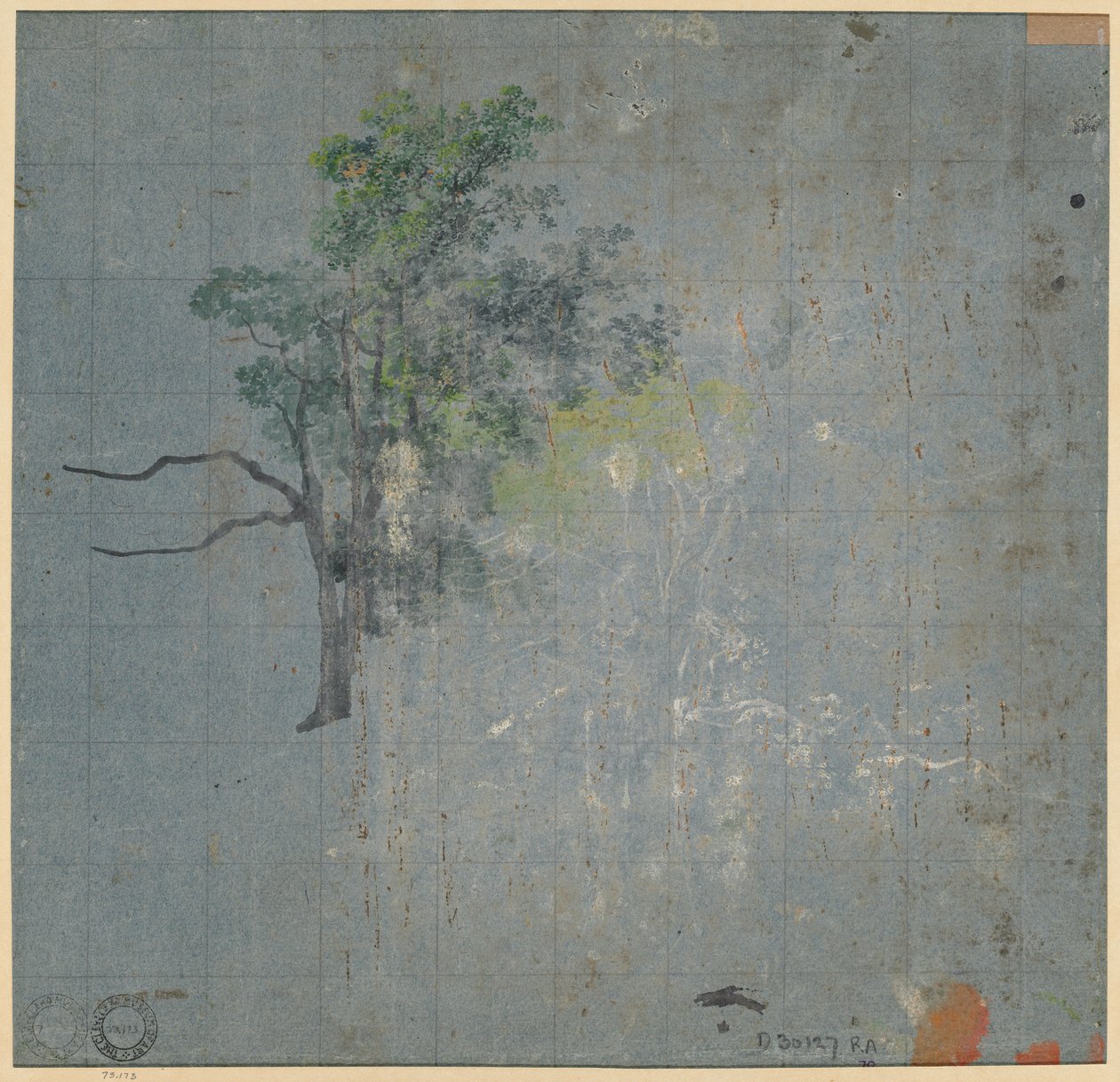 Tree Studies by Johann Jacob Dorner