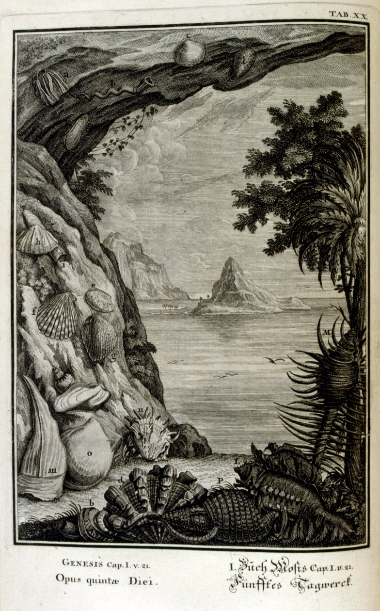 Copperplate engraving from 