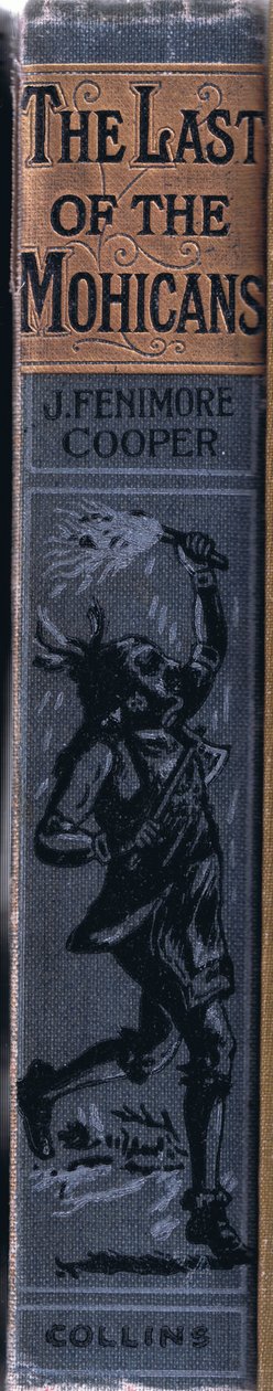 Spine Design by Johann Nepomuk Schonberg