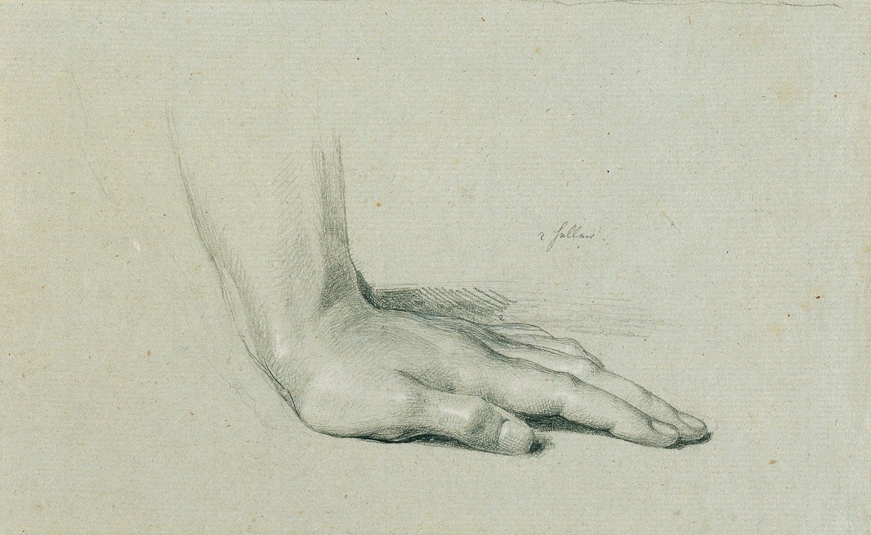 Hand Study for 