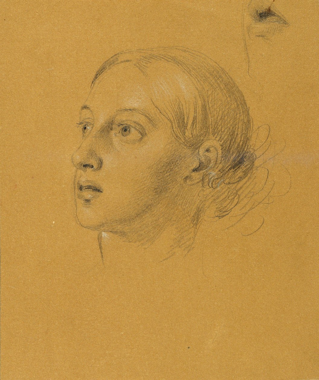 Head Study for 