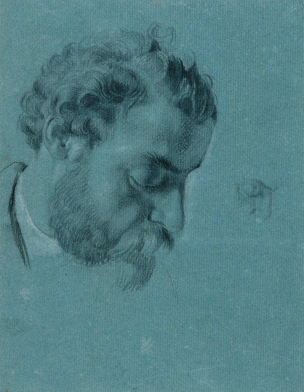 Portrait Study for 