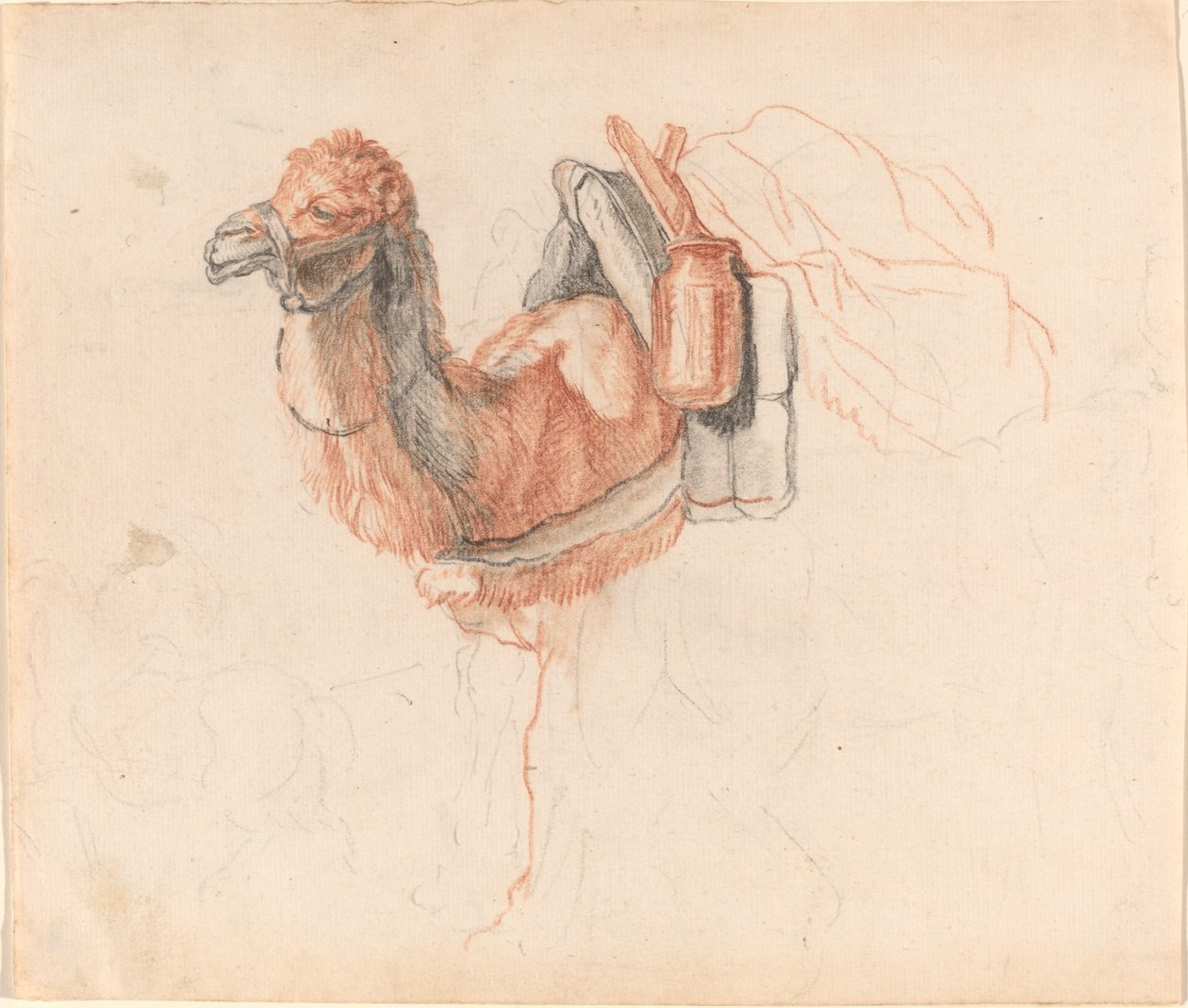 Camel by Johann Rudolph Schellenberg