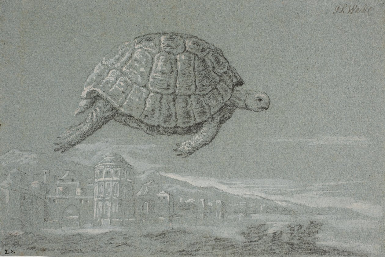 Study of a Turtle, and View of a Fortified City by the Sea (Venice) by Johann Salomon Wahl