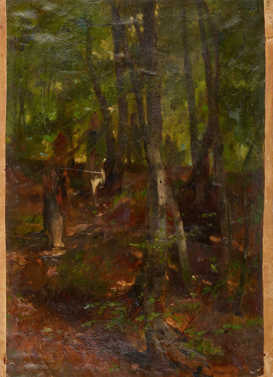 Forest Landscape by Johann  Till der Jüngere