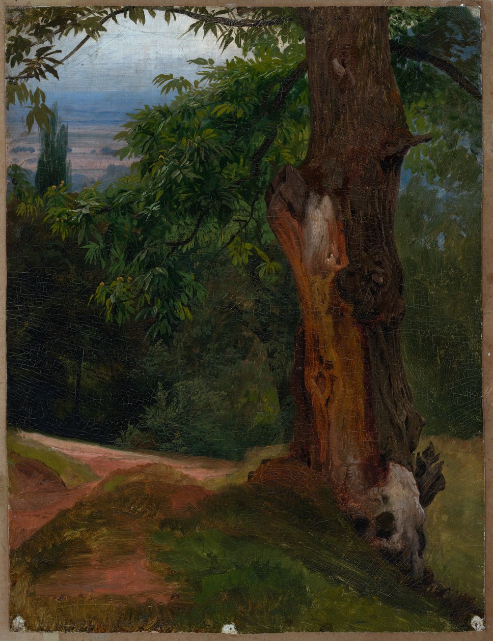 Tree Study with Valley View by Johann Wilhelm Schirmer